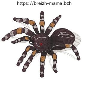 Motif broderie araignée migale 3D